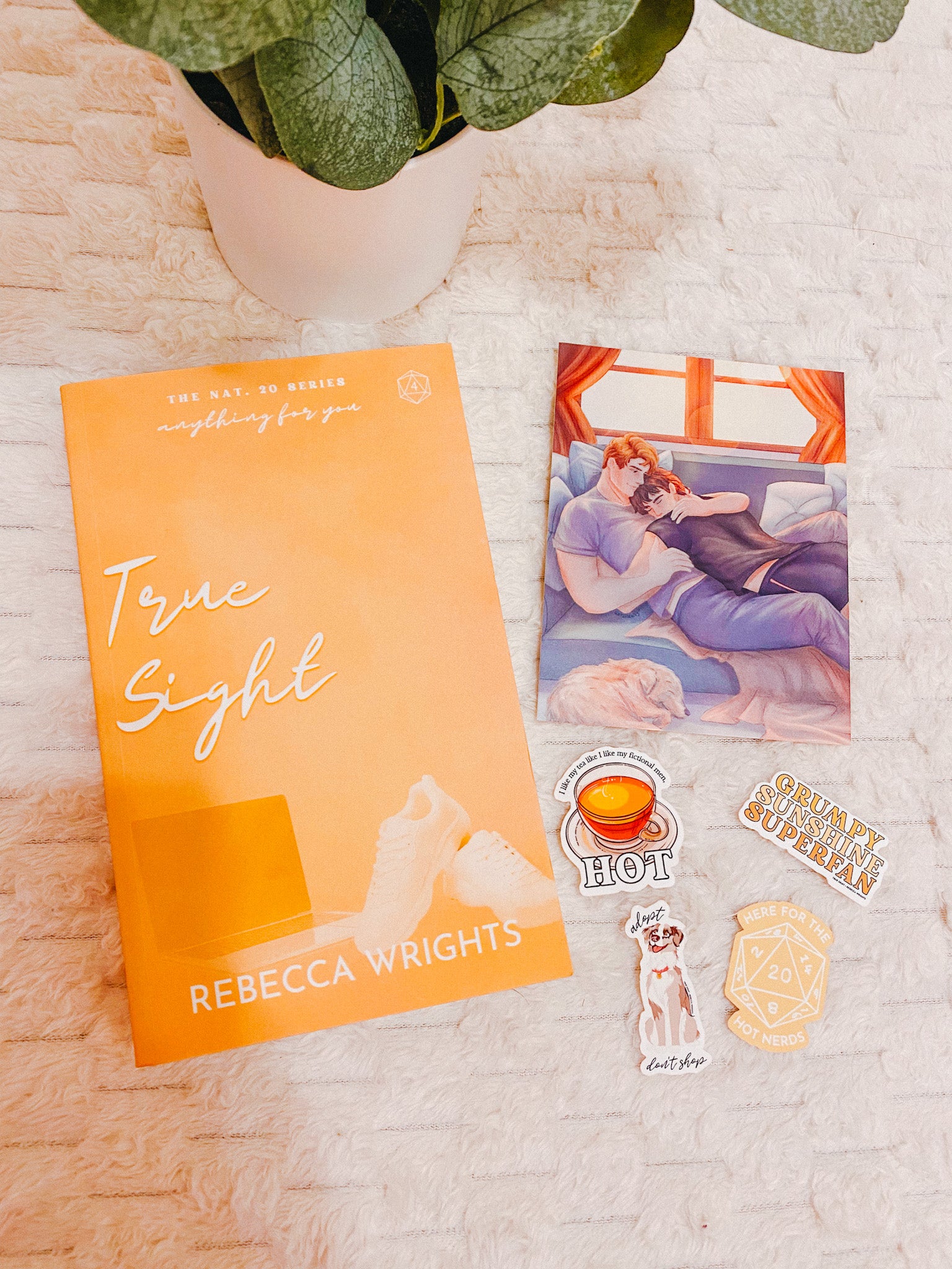 Book titled 'True Sight' by Rebecca  Wrights with stickers on a light surface.